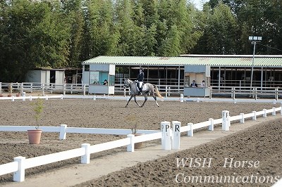 生産馬競技会デビュー