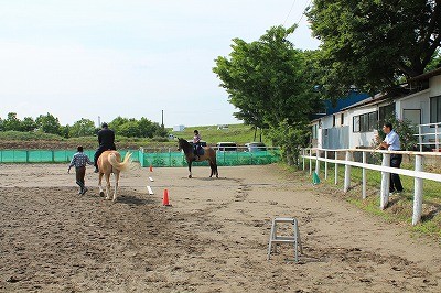 柏南高校馬術部