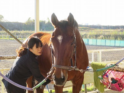 馬の気持ちを知る方法