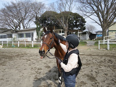 馬と仲良くなる