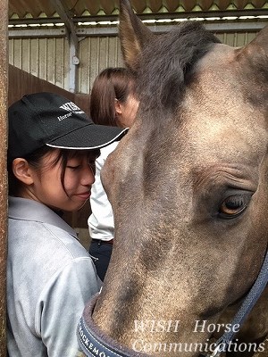 愛情乗馬をしよう