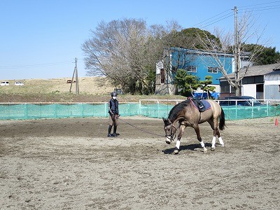 調馬索の基本姿勢