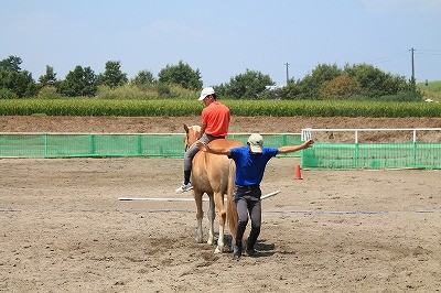 馬のお尻ですべり台