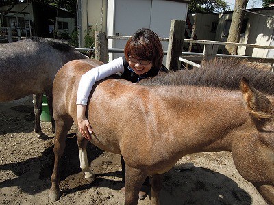 健康な馬の背中