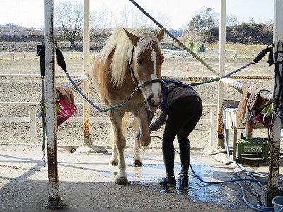 気持ちいい馬の表情