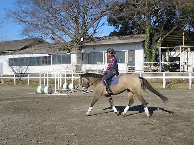 馬と気持ちが通じ合う、それがウィッシュの乗馬