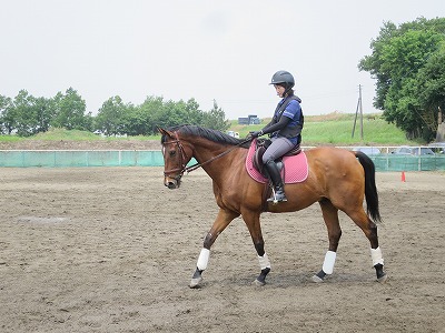 馬の気持ちになってハミ受けを考えてみよう