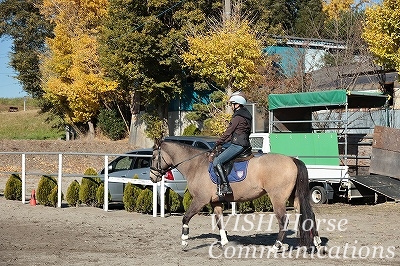 紅葉乗馬