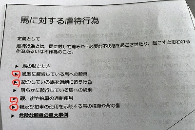 馬に対する虐待行為