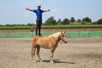 ナチュラルホースマンシップ