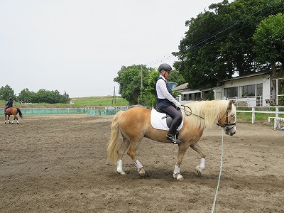 ハミ受けのコツは馬とのコミュニケーション