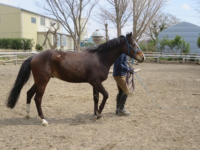 馬とバックでシンクロ