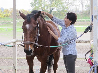 馬目線の優しい手入れ