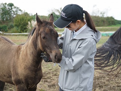 愛のある乗馬