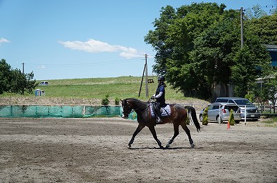 乗馬の魅力