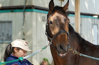 馬を大切にする乗馬クラブ