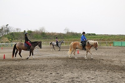 騎乗を終えたら逍遥へ