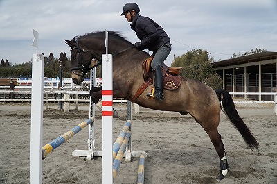 障害飛越の競技会に行ってきました 柏エリアの乗馬 ウィッシュホースコミュニケーションズ 障害飛越の競技会に行ってきました 柏エリアの乗馬 ウィッシュホースコミュニケーションズ