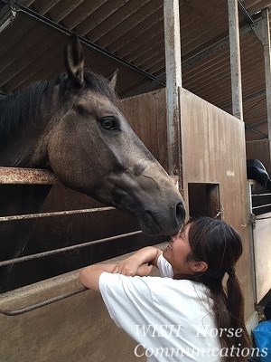 馬とキス