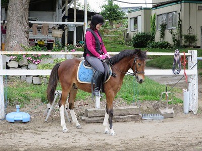 新馬調教　用意周到に