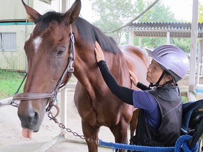 乗馬　ビジター