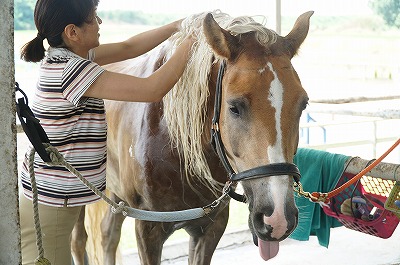 馬の気持ちをわかろうとしてあげてますか？