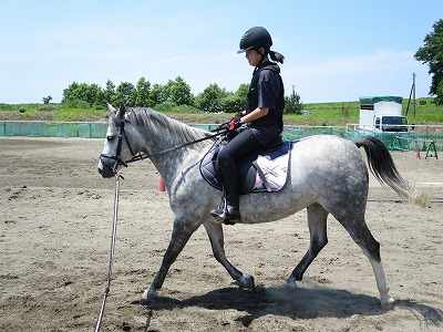 乗馬の楽しみ