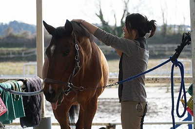 馬の嬉しそうな表情は幸せです