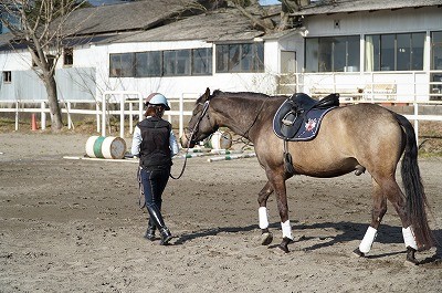 馬に信頼されるホースマン