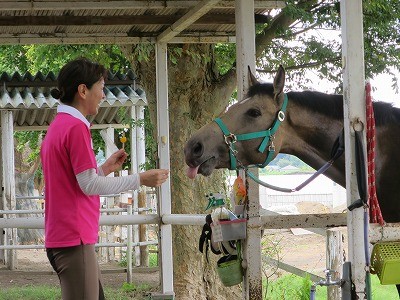 馬と話し合う