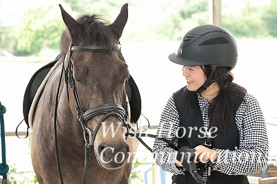 馬とのコミュニケーション