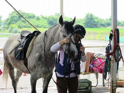 馬装うっとり