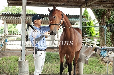 馬との信頼関係