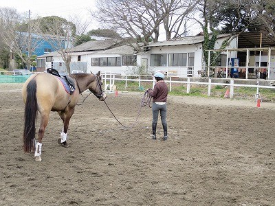 馬はとてもハートフル