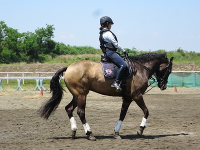 気持ちを合わせて馬とダンス！