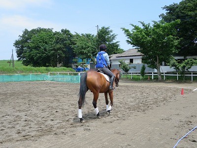 馬とパートナーに