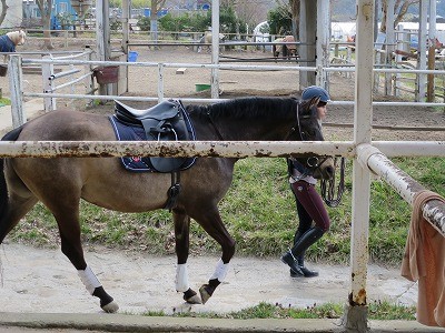 愛馬と息ぴったり