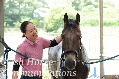 優しい乗馬