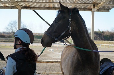 馬と心も寄り添って