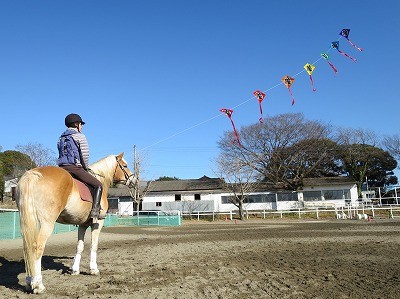 ナチュラルホースマンシップで馬と遊ぼう！