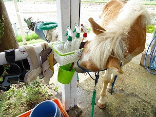 蹄油のにおいは初体験？！
