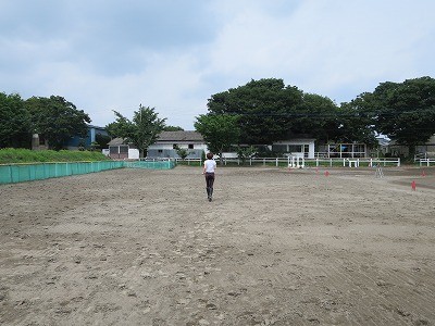 楽しい乗馬の練習