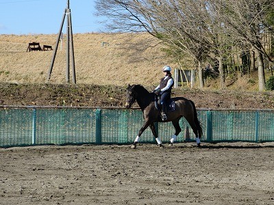 馬の気持ちを聞きながら