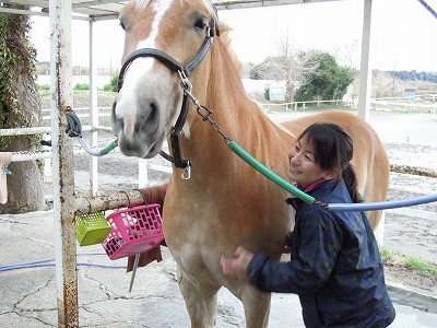 手入れ上手は乗馬上手