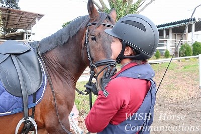 馬の優しさが身に染みる