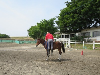 新馬調教　いつも馬のサインを見逃さない