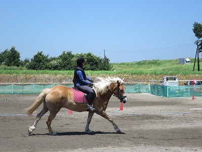 馬と向き合う