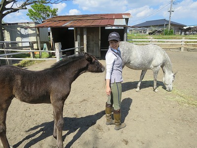 素敵な乗馬体験