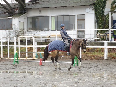 正統派の乗馬クラブ