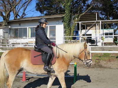 馬会話教室